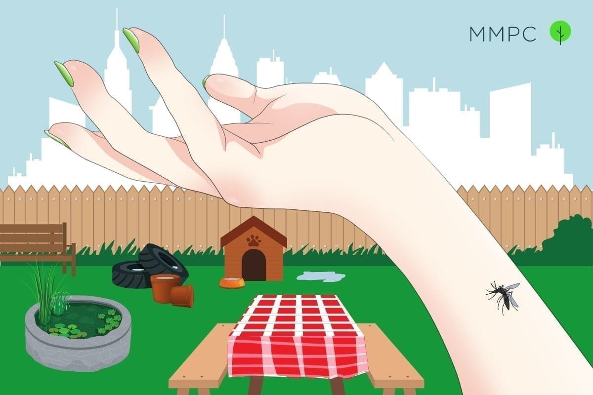 Controlling mosquitoes in NYC in 2021