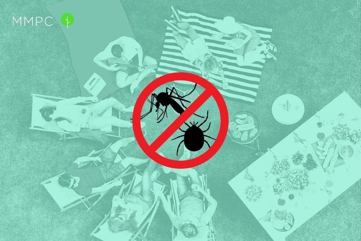 How to keep mosquitoes and ticks away during the summer months.