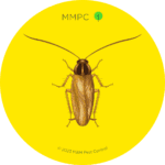 German Cockroach
