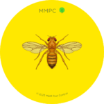 Fruit Fly
