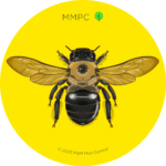 Eastern Carpenter Bee