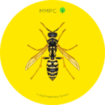 Paper Wasp
