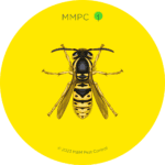 Yellow Jacket