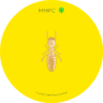 Subterranean Termite Worker