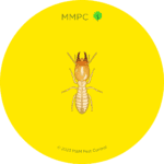Subterranean Termite Soldier
