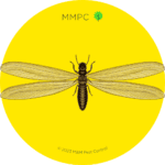 Subterranean Termite Swarmer