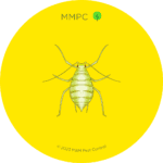 Aphid