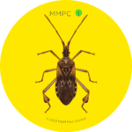 Western Conifer Seed Bug