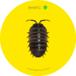 Pill Bug