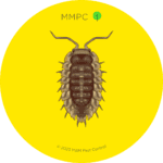 Sow Bug