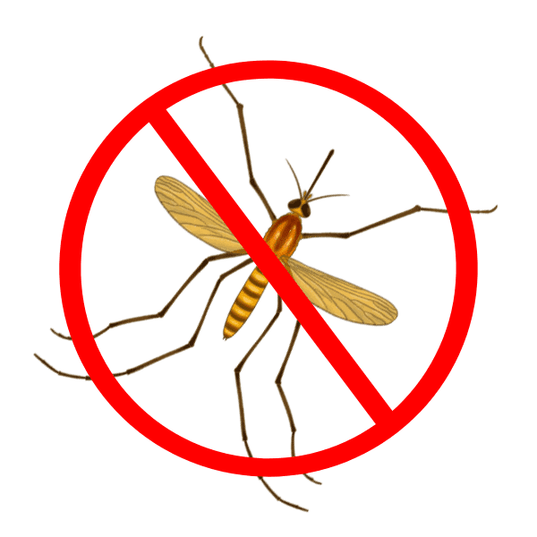 mosquito control services
