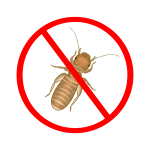 booklice control