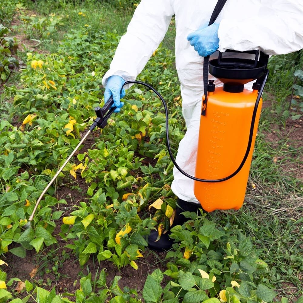 How to Get Rid of Ticks