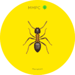 ManhattAnt