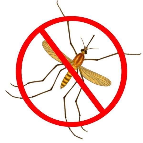 mosquito control