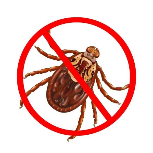 tick control