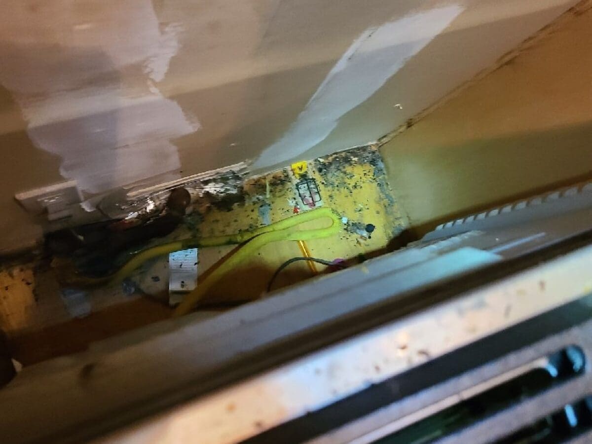Mouse droppings behind stove