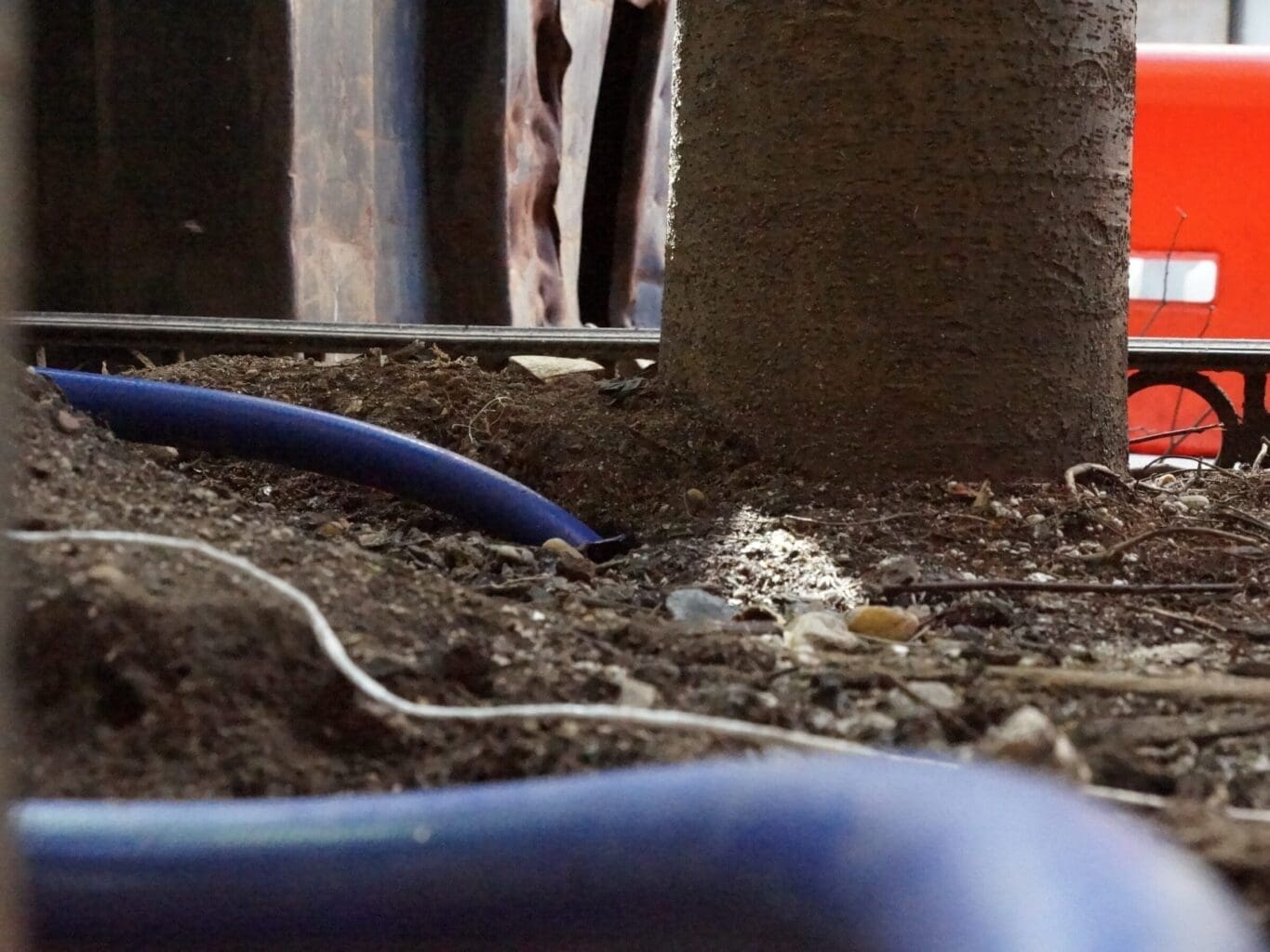 Rat burrow treatment with carbon monoxide gas