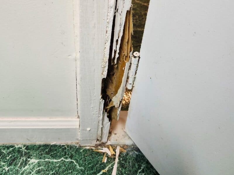 Signs of Termites