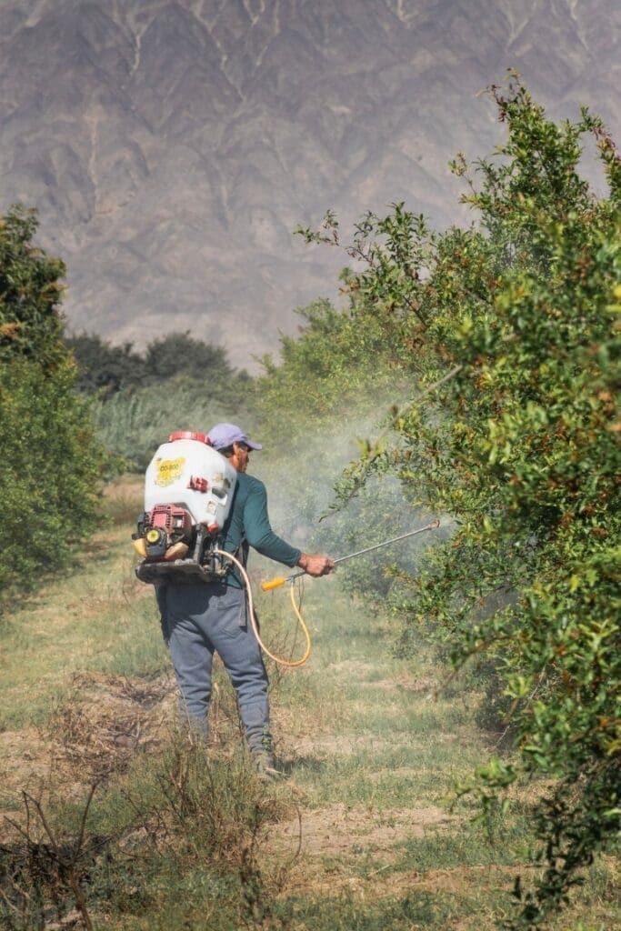 Pest control professional spraying trees and vegetation for pest control services near me