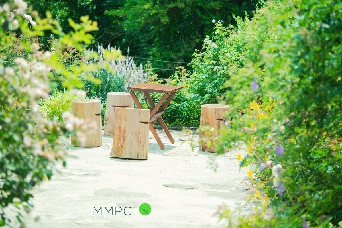 Preventing mosquito breeding in your yard.