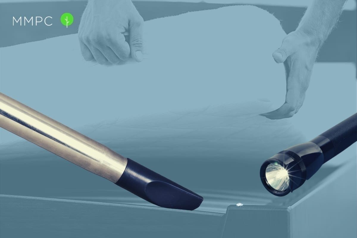 5-Step method to control bed bugs without using pesticides