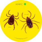 Brown Dog Tick