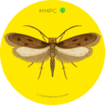 Case-Bearing Clothes Moth