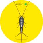 Silverfish