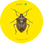 Brown Marmorated Stink Bug