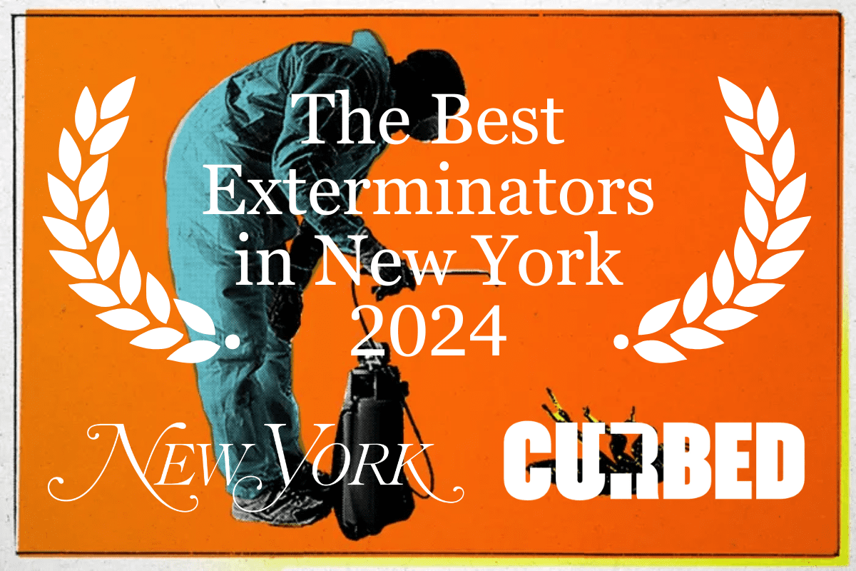best exterminators in new york 2024