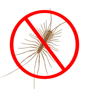 centipede control services