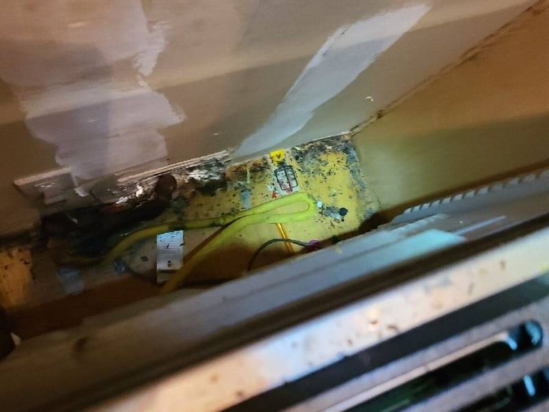 Mouse droppings behind stove